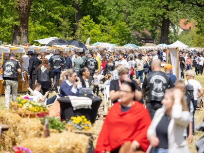(FOTO) A doua ediție a Festivalului „Suflet de România” a adus mii de turiști la Săvârșin