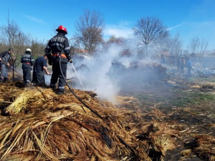 (FOTO) Opt incendii într-o singură zi! Apelul ISU Arad: ”Renunțați la incendierea miriștilor și a vegetației uscate!”