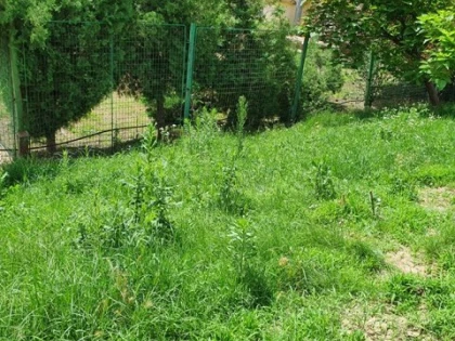 (FOTO) Prințișorul Bibarț ne-a montat becuri noi, să vedem mai bine buruienile de pe malul Mureșului