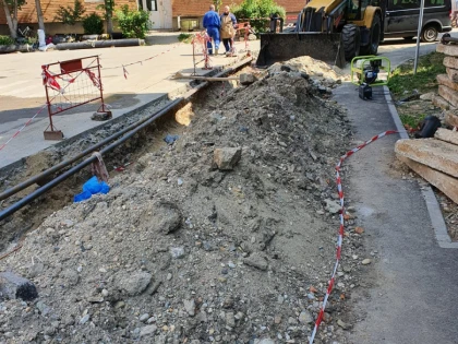 (FOTO) Prințișorul Bibarț toamna „regenerează“, iar primăvara sparge tot