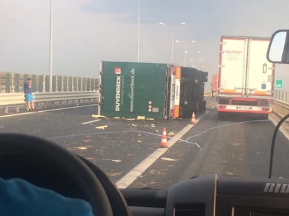 Furtuna a făcut prăpăd în Arad. Copaci căzuţi şi TIR-uri răsturnate (FOTO)
