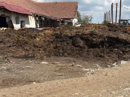 Garda de Mediu Arad a descoperit nereguli grave la o fermă de bovine. Amenzi de 65.000 de lei