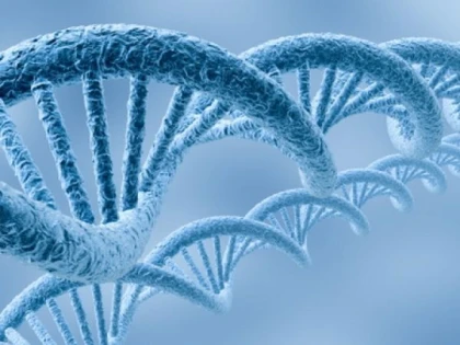 Gena preistorică din ADN-ul uman care ar putea fi vinovată pentru cazurile foarte grave de coronavirus