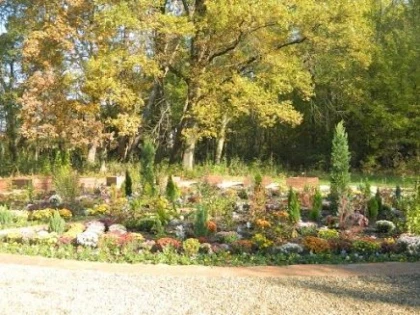 GRADINA TERAPEUTICA DE LA SPITALUL DE PSIHIATRIE DIN CAPALNAS A FOST INAUGURATA ASTAZI
