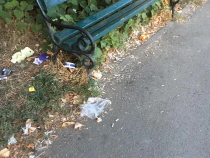 Gunoaiele au pus stăpânire pe spaţiile verzi din Vlaicu