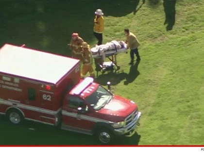 HARRISON FORD S-A PRABUSIT CU O AVIONETA