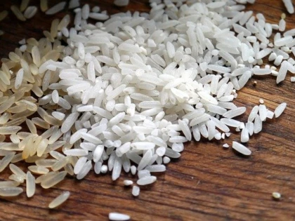 Hidratant, antioxidant, anti-imbatranire... Orezul este noul ingredient vedetă în îngrijirea pielii