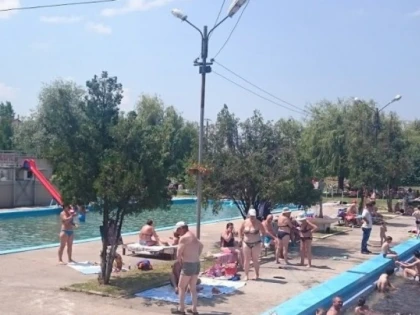 Hingherii au luat câinii de la “Bidi”. În spatele acţiunii, un consilier CARP