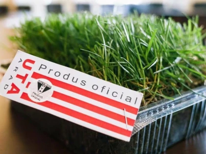 IARBĂ DE PE STADIONUL UTA SAU DE LA UNIVERSUL VERDE ? ACEASTA ESTE ÎNTREBAREA