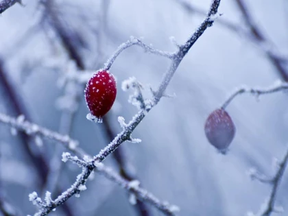 Iarna își intră în drepturi! Prognoza meteo pentru următoarele 4 săptămâni