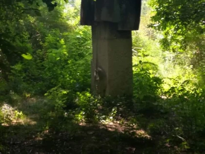 În sfârșit! Parcul de Sculptură de la Căsoaia, accesibil turiștilor după aproape trei decenii