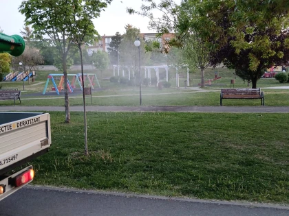  Încă o acțiune de dezinsecție în municipiul Arad