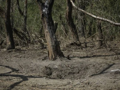 Încă o dronă a căzut în România. MApN a găsit un crater în locul în care a explodat