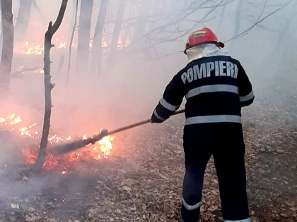 Încă șase incendii de vegetație, în doar 24 de ore, în Arad