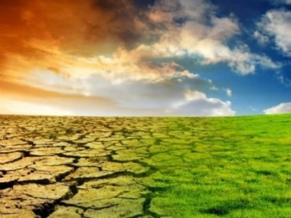 Încălzirea globală va creşte preţul alimentelor