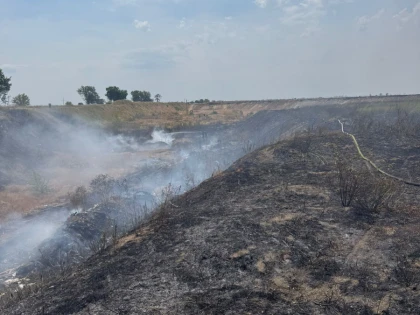Incendii de vegetație în județul Arad. Intervențiile pompierilor în mai multe zone, îngreunate de vântul puternic