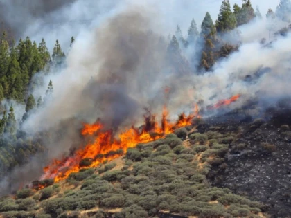 Incendiile din Granaria Canaria scapă de sub control. Mii de persoane au fost evacuate