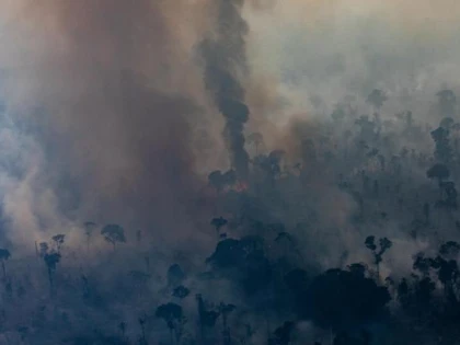 Incendiile ilegale distrug din nou Pădurea Amazoniană