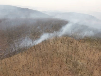 Incendiu de proporții în zona Tauț! S-a cerut intervenția elicopterului SMURD