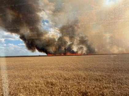 Incendiu de proporții la Curtici. Aproximativ 50 de hectare de grâu și miriște au fost cuprinse de flăcări