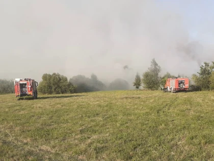 Incendiu de proporții la o fermă dezafectată, între Șagu și Mailat