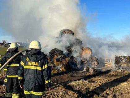 Incendiu de proporții la un depozit de cereale din Dorobanți