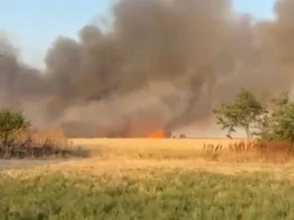 Incendiu de proporții la un lan de grâu din Arad. Mai mult de 10 hectare au fost afectate