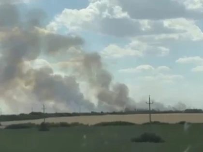 Incendiu de proporții la un lan de grâu, între Arad și Pecica, pe aproximativ 20 de hectare