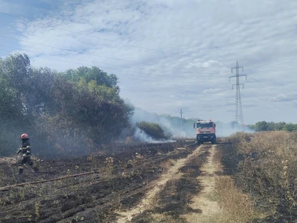 Incendiu de vegetație uscată în zona Câmpul Liniștii din Arad. Focul s-a apropiat de locuințe