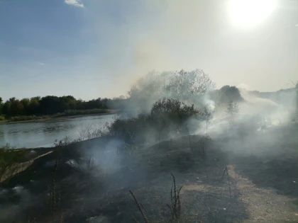 Incendiu în Alfa