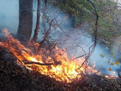 Incendiu în Munții Apuseni. Au ars 30 de hectare de vegetație
