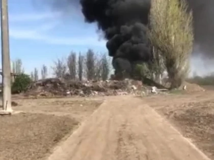 Incendiu la ieșire din Curtici spre Macea, la sere