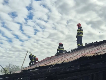 Incendiu la o anexă gospodărească din Sântana