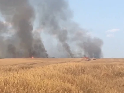 Incendiu la un lan de grâu între Nădlac și Peregu Mare, din cauza unei țigări nestinse