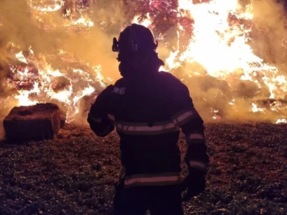 Incendiul de vegetație de la Pecica intră în cea de-a treia zi