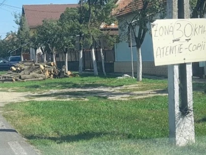 Indicatoare rutiere din panouri de carton, într-un sat din județul Arad. Imaginile au ajuns virale pe Facebook