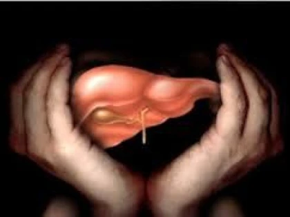 INFUZIA DE ARMURARIU ELIMINA TOXINELE DIN FICAT