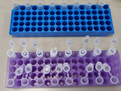 Institutul Cantacuzino confirmă: pacient infectat cu hantavirus, la Arad