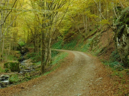 Invitaţie la drumeţie şi ciclism montan pe traseul turistic Hăşmaş - Valea Hăşmaş - Vf. Pleşu