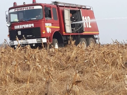 ISU Arad: Renunțați la curățarea terenurilor prin incendiere! 19 incendii, în doar șapte zile