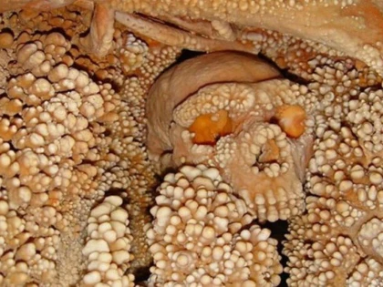 ITALIENII AU EXTRAS CEA MAI VECHE PROBA DE ADN DE LA UN OM DIN NEANDERTHAL