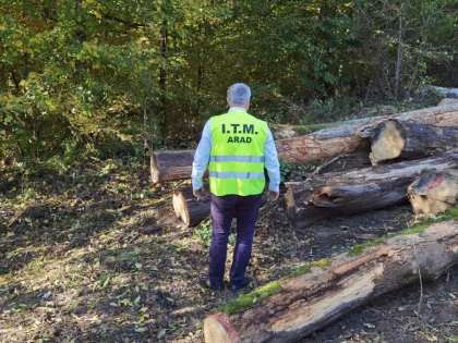 ITM Arad, acțiune de verificare a firmelor din domeniul forestier