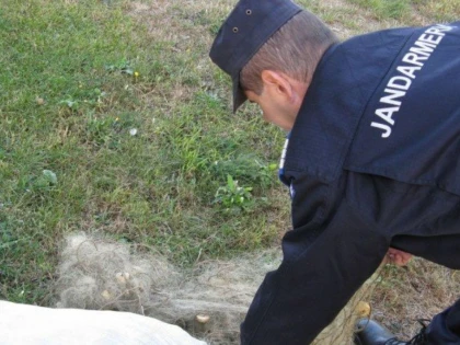 Jandarmii au prins doi bărbați care pescuiau prin metoda ,,greblare”