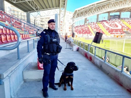 Jandarmii timișoreni descurajează comerțul ilegal cu bilete, înainte de UTA - FCSB!