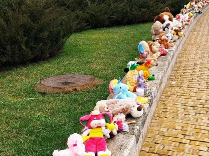 Jucăriile din pluş lăsate în faţa Primăriei Arad, în semn de protest după moartea câinelui Zeus, vor fi donate