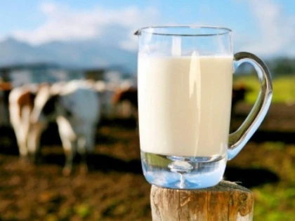 Laptele și produsele lactate se scumpesc