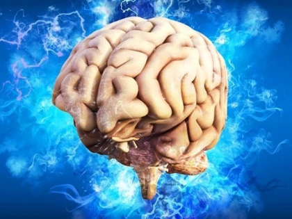 Legătura dintre cancerul cerebral și telefonul mobil