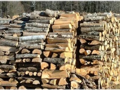 Lemnul de foc, mai ieftin cu 17% în Arad. Cantitățile disponibile, de patru ori mai mari din cauza furtunilor