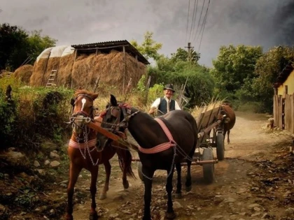 Lumea Satului Românesc: Un tablou fermecător al frumuseții rurale și agriculturii locale tradiționale