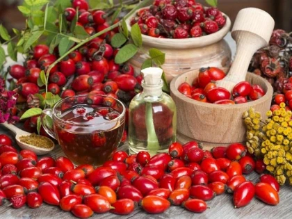 Măceșele întăresc imunitatea și combat anemia